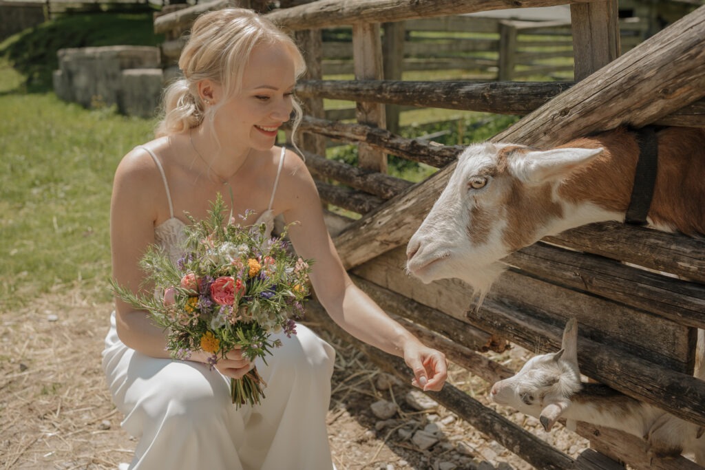 Braut bei einer Hochzeit in den Bergen im Karwendelgebiet, stilvoll gekleidet und entspannt streichelt sie die Ziegen